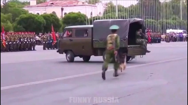 Лучшие Приколы И Неудачи! 2015