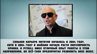 Pitbull – 7 Фактов о знаменитости