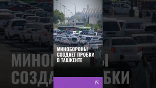 Как по главным улицам Ташкента прошли торжественные шествия? Смотрите полное видео на канале