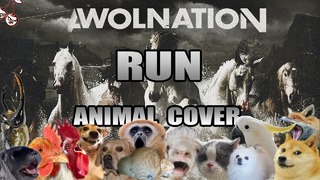 Awolnation – Run (Animal Cover)