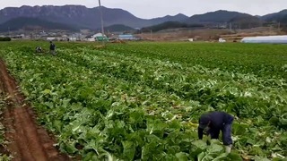 Работа в Южной Корее. Что случилось с Kuzen Vlog