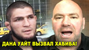 НЕОЖИДАННО! Хабиб срочно вылетает в США / Дана Уайт уговорил Хабиба