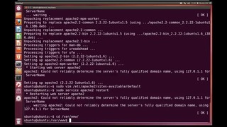 Python Advanced Tutorial 7 – CGI Programming