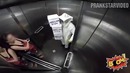 Liftda asal arilar. Prank