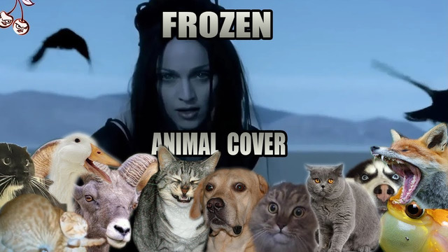 Madonna – Frozen (Animal Cover)