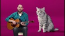 Семён Слепаков – Котозависимость