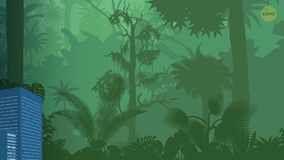 Австралийский Тарзан жил в джунглях в течение 50 лет