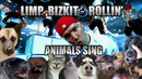 Limp Bizkit – Rollin’ (Animal Cover)