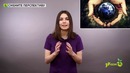 Как убедить друзей, что экологичный образ жизни — это просто