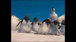 Tancy pingvinov