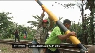 Борьба с зайцами в Индонезии