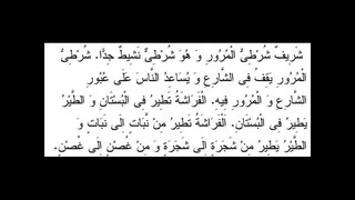 032 учебник арабского языка багауддин мухаммад