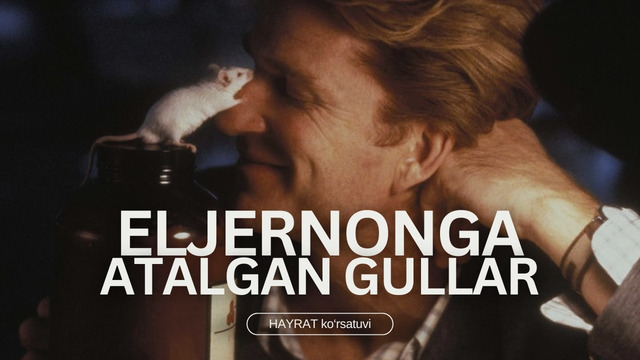 «Eljernonga atalgan gullar» asari tahlili | HAYRAT