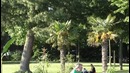 Прогулка по набережной курортного города Friedrichshafen