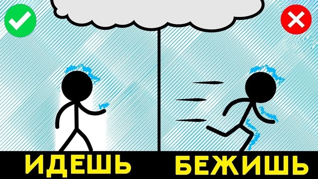 10 заблуждений, в которые вы верите