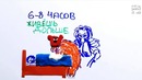 Научпок- Что, если совсем не спать