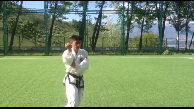 Taekwon-do GTF TORNADO team GE-BEK xyonge