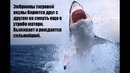 7 Интересных Фактов