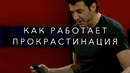 ЧТО В ГОЛОВЕ У ПРОКРАСТИНАТОРА! ТИМ УРБАН! ЛЕНЬ И ПРОКРАСТИНАЦИЯ