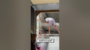 Why you should hire movers