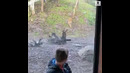 Если бы не было окно