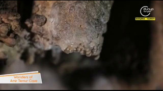 «Expedition» | Wonders of Amir Temur Cave [18.10.2021]