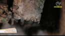 «Expedition» | Wonders of Amir Temur Cave [18.10.2021]