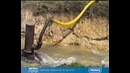 Подъем воды на высоту без использования энергии. Гидротаран