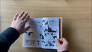 Распаковка манги Наруто Книга-5