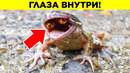 Странные Находки В Неожиданных Местах. Часть 2