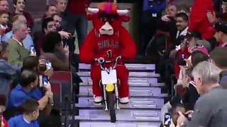 Самый лучший в мире баскетбольный талисман Chicago Bulls