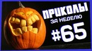 Приколы за неделю #65 | ПОТРАЧЕНО