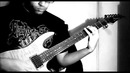 Viraemia – Disseminated Intravascular Coagulation (Guitar cover)