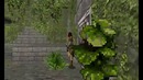 Tomb Raider I