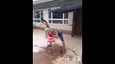 Вот и голову помыли. Ржака супер