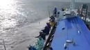 Охота рыба япония