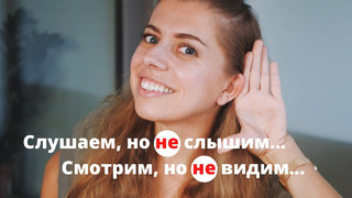 Как работает наше внимание