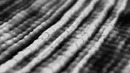 Голос Солнца