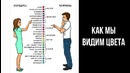 12 саркастичных комиксов о наших различиях