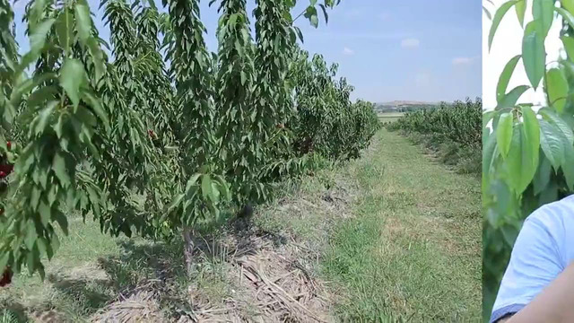 АНОНС Шуҳрат Аброров билан эксклюзив суҳбат