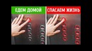 11 Советов Которые Спасут Вам Жизнь в Критической Ситуации