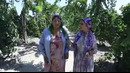 BIZ TOMONLARDA Pastdarg’om