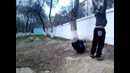 Заднее бага