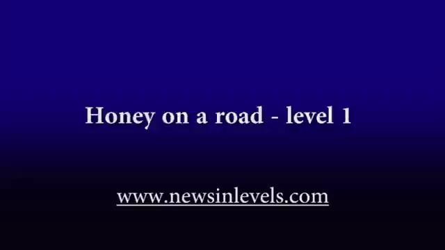 Honey on a road – level 1