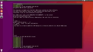 3.Linux для Не Начинающих – SSH подключение к удаленному Linux