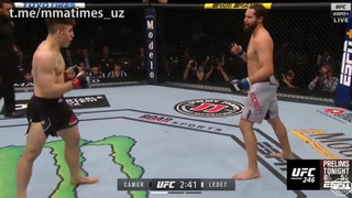 UFC 246
