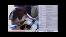 Джастин Бибер:никогда не говори никогда (2 часть)