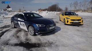 Clickoncar.Audi a5 vs Kia Stinger
