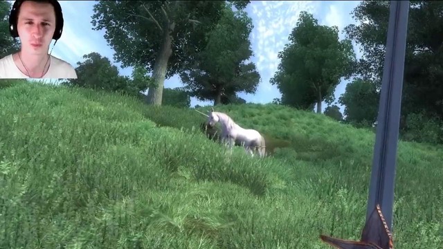 Skyrim – Дикие лошади и Легендарное существо