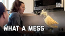 What a Mess (August 2020) | FailArmy